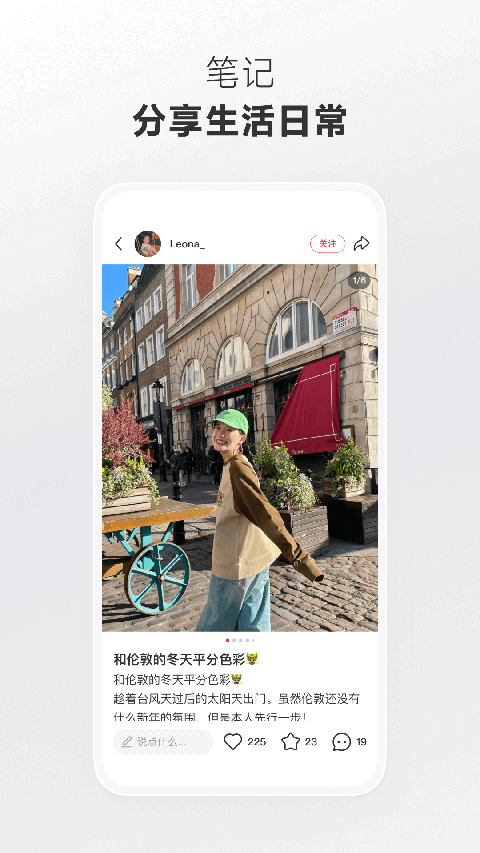 热带雨林藤蔓与瀑布全景壁纸